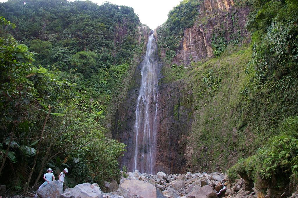 Kaz Creole Aventure Tropicale Insolite, Fibre, Jardin Et Jacuzzi Prives Saint-Francois  Exterior photo